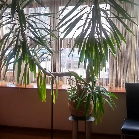 Ubytování v soukromí Willa Amazonka *